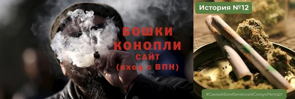 прущие грибы Ельня