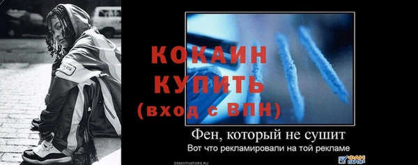 прущие грибы Ельня