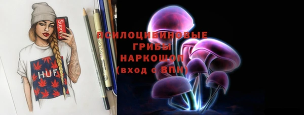 прущие грибы Ельня