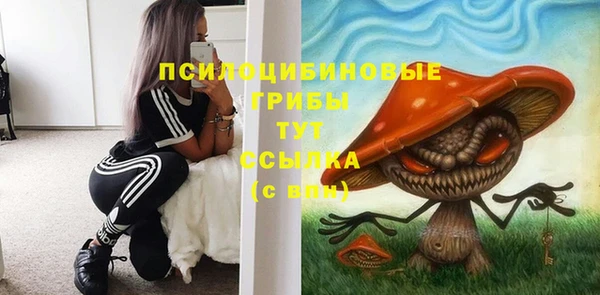 прущие грибы Ельня