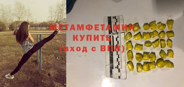 прущие грибы Ельня